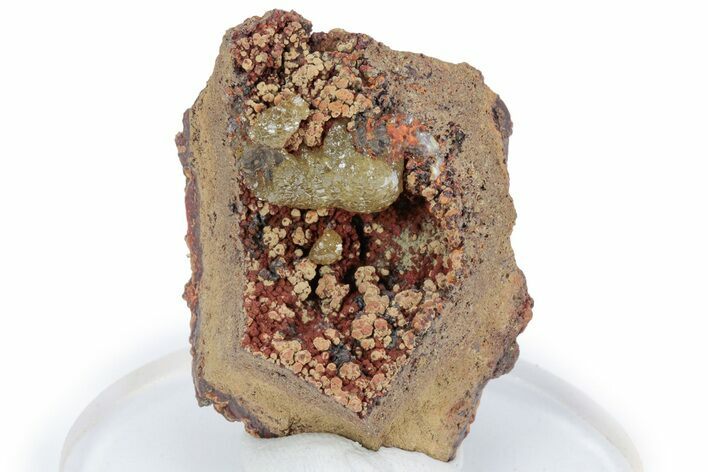 Gemmy Adamite Crystals on Matrix - Ojuela Mine, Mexico #219818